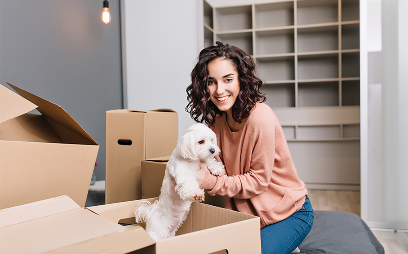 How to Prepare Pets for Moving