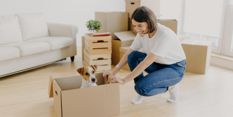 How to Prepare Pets for Move