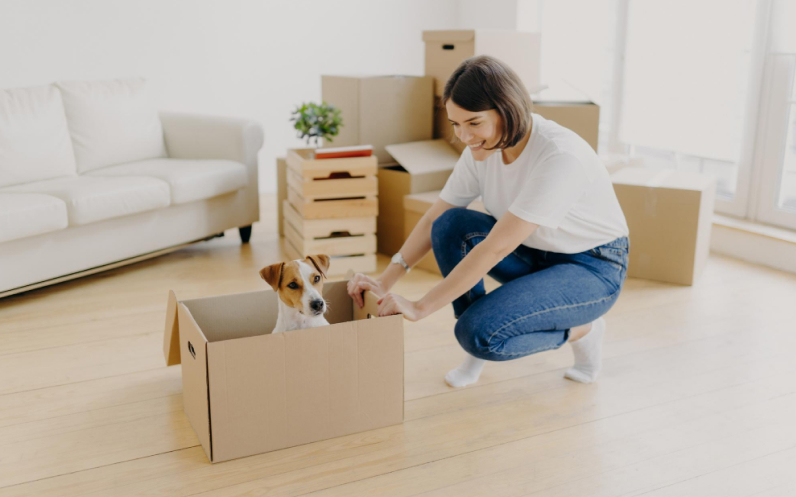 How-to-Move-with-Pets